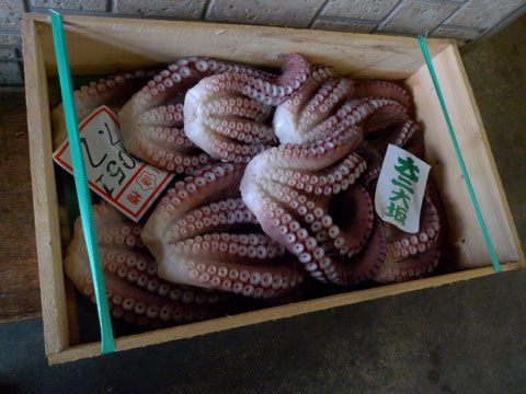 c0044024_0214086.jpg