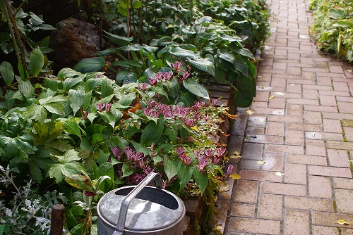 f0170524_748524.jpg