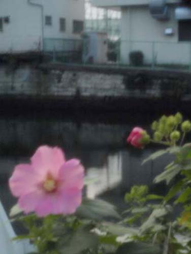 a0217029_17493573.jpg