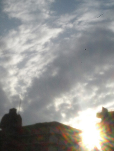 a0217029_1752254.jpg