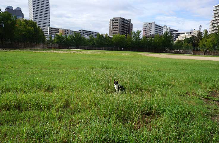 d0138130_9194495.jpg