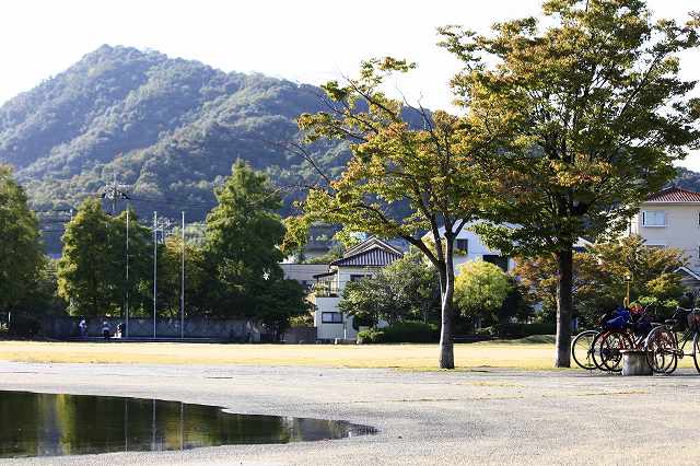 a0045932_1395647.jpg
