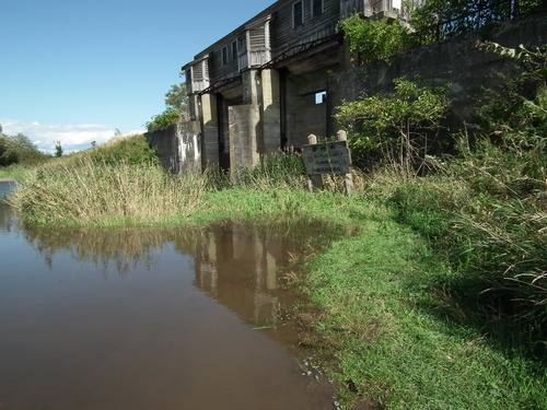 c0185132_2052559.jpg