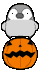 a0157935_169920.gif