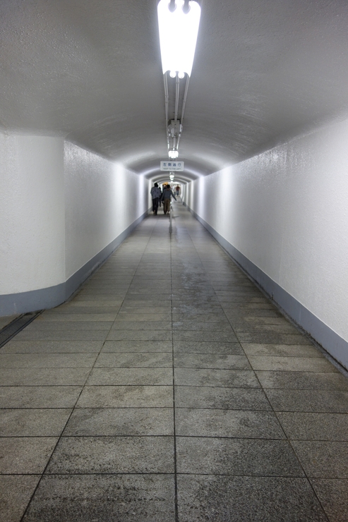 a0287336_23395271.jpg