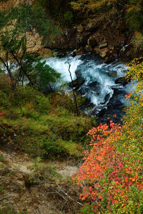 a0287336_23414267.jpg