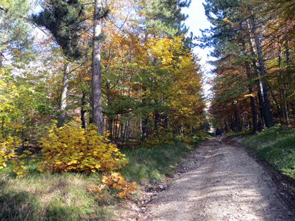 紅葉求めて山登り_f0234936_547438.jpg