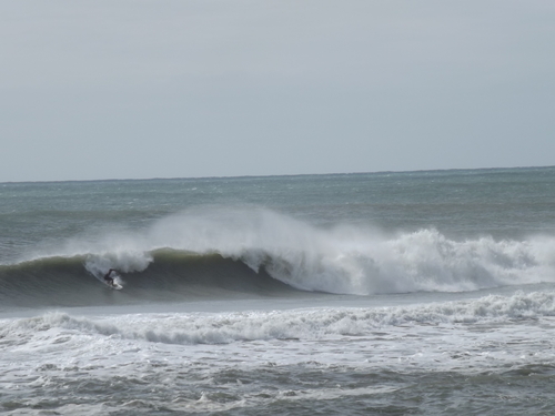 f0248337_1246722.jpg