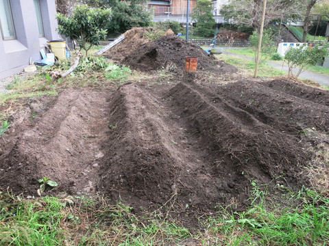 エコロジカル農園の畝たて　The　trough of Ecological framing_e0020945_13235577.jpg