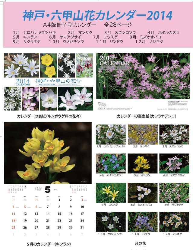 六甲山花カレンダー２０１４の販売_c0129047_5491674.jpg