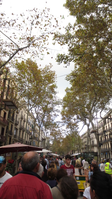e0212073_1932393.jpg