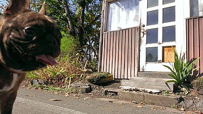 b0056476_12215793.jpg