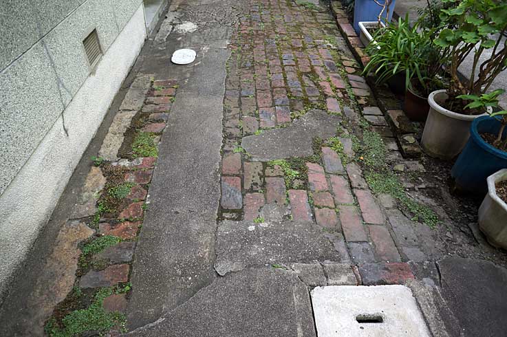 b0057679_98951.jpg