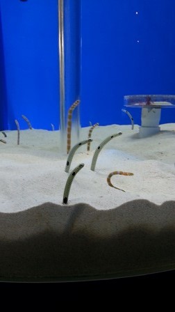 f0228680_9475164.jpg