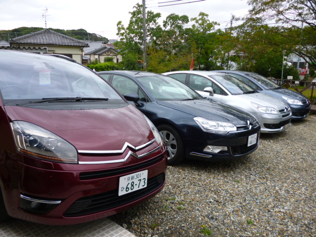秋の 大商談会_c0105691_9582414.jpg