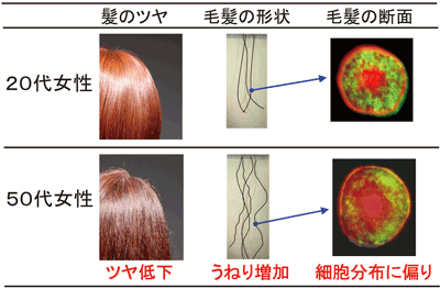 f0216597_1062323.png