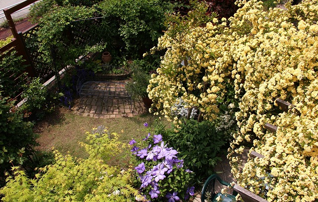 a0123003_22225957.jpg
