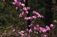 c0077412_1003850.jpg