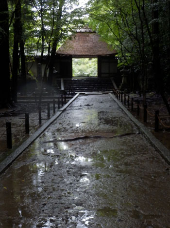 雨の法然院_e0048413_201214.jpg