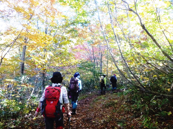 紅葉真っ盛り　銚子ｹ峰 (1,810.4M) に登る_d0170615_9345789.jpg