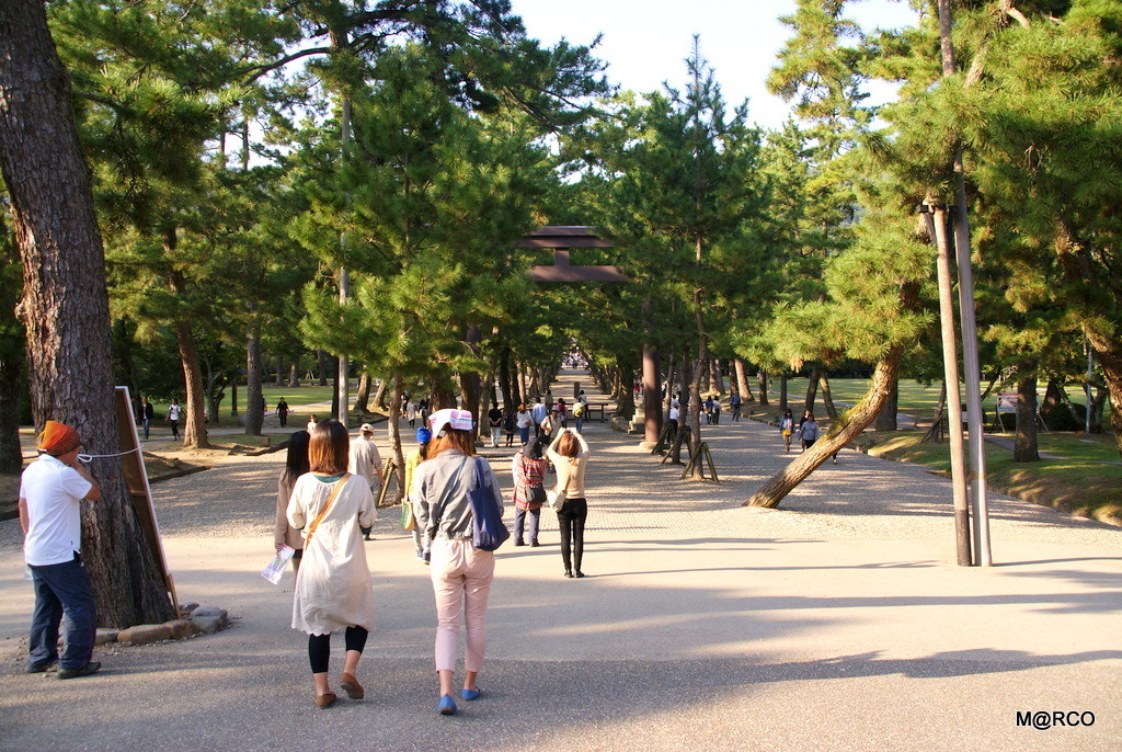 瀬戸内国際芸術祭と島根 2013 : 8. 出雲 @ 島根_a0240721_23341013.jpg