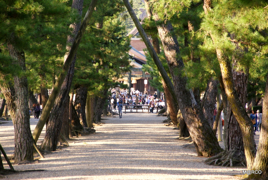 瀬戸内国際芸術祭と島根 2013 : 8. 出雲 @ 島根_a0240721_23342253.jpg