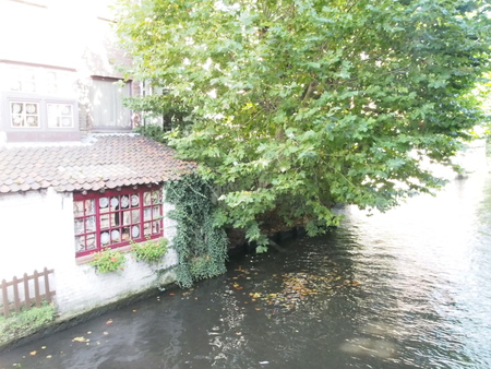 d0055321_2313751.jpg