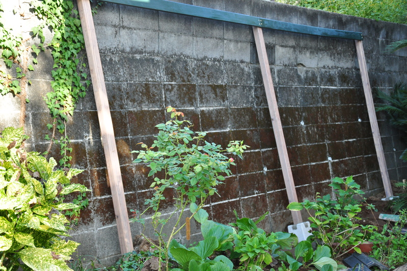 b0280025_16374168.jpg