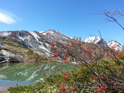 c0225927_8372560.jpg
