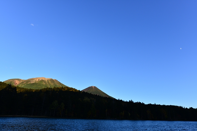 秋の月_f0050534_73288.jpg
