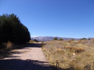 e0120938_0491222.jpg