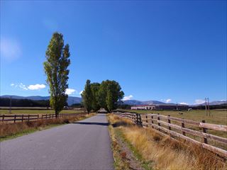e0120938_0491473.jpg