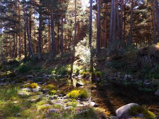 e0120938_0492077.jpg