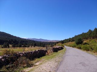 e0120938_0492254.jpg