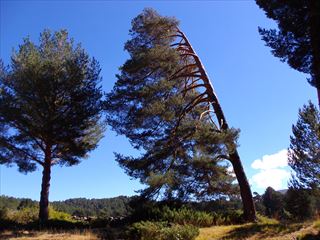 e0120938_0492425.jpg