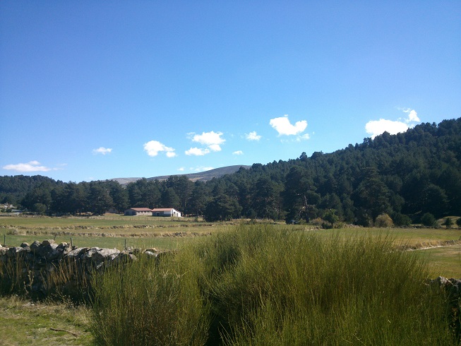 e0120938_0492562.jpg