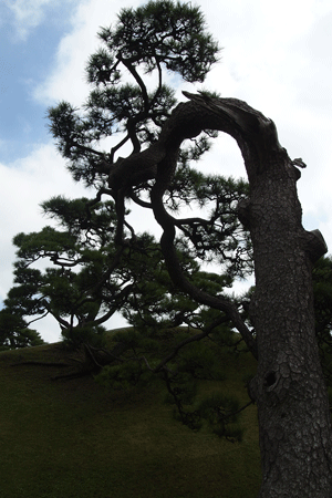 c0068639_14263746.gif