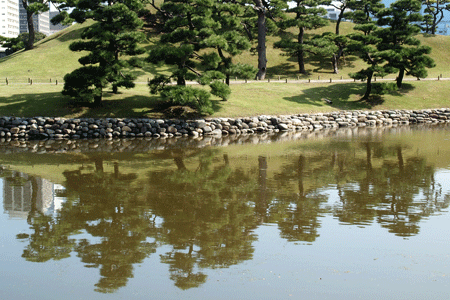 c0068639_1427699.gif