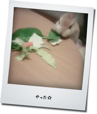 b0129140_2212583.png