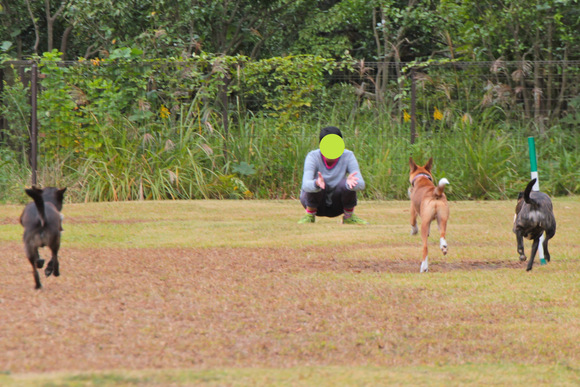 森林公園で RUN・乱・覧(^_^)_e0249240_22465020.jpg