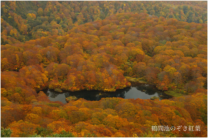 鶴間のぞき紅葉_c0061761_2422220.jpg