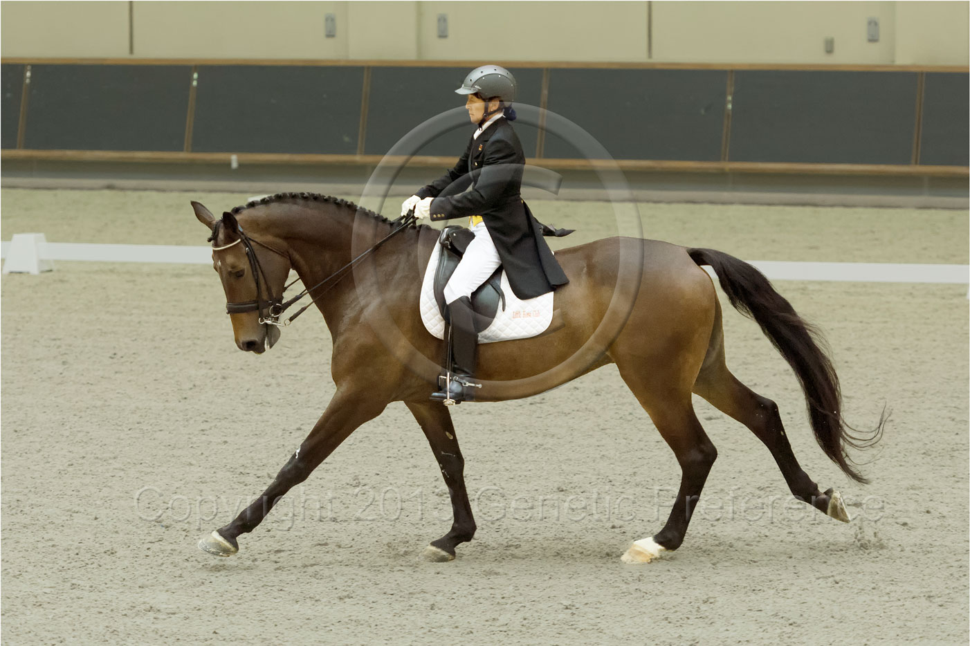 第38回兵庫県親善馬術大会Ⅰ：馬場馬術競技会 Vol.3_a0111162_2327451.jpg