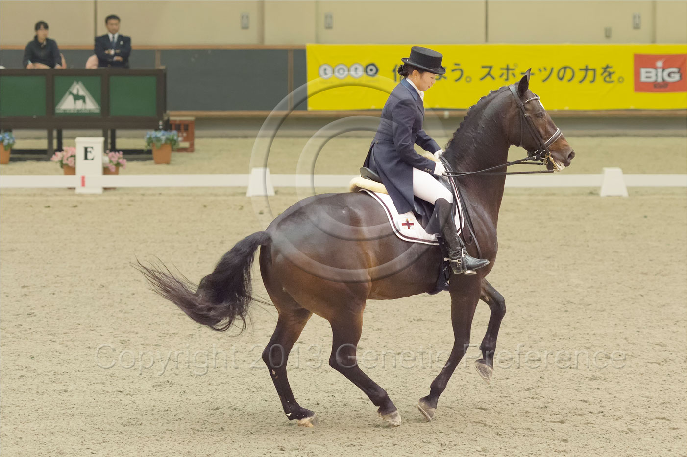 第38回兵庫県親善馬術大会Ⅰ：馬場馬術競技会 Vol.4_a0111162_23301317.jpg