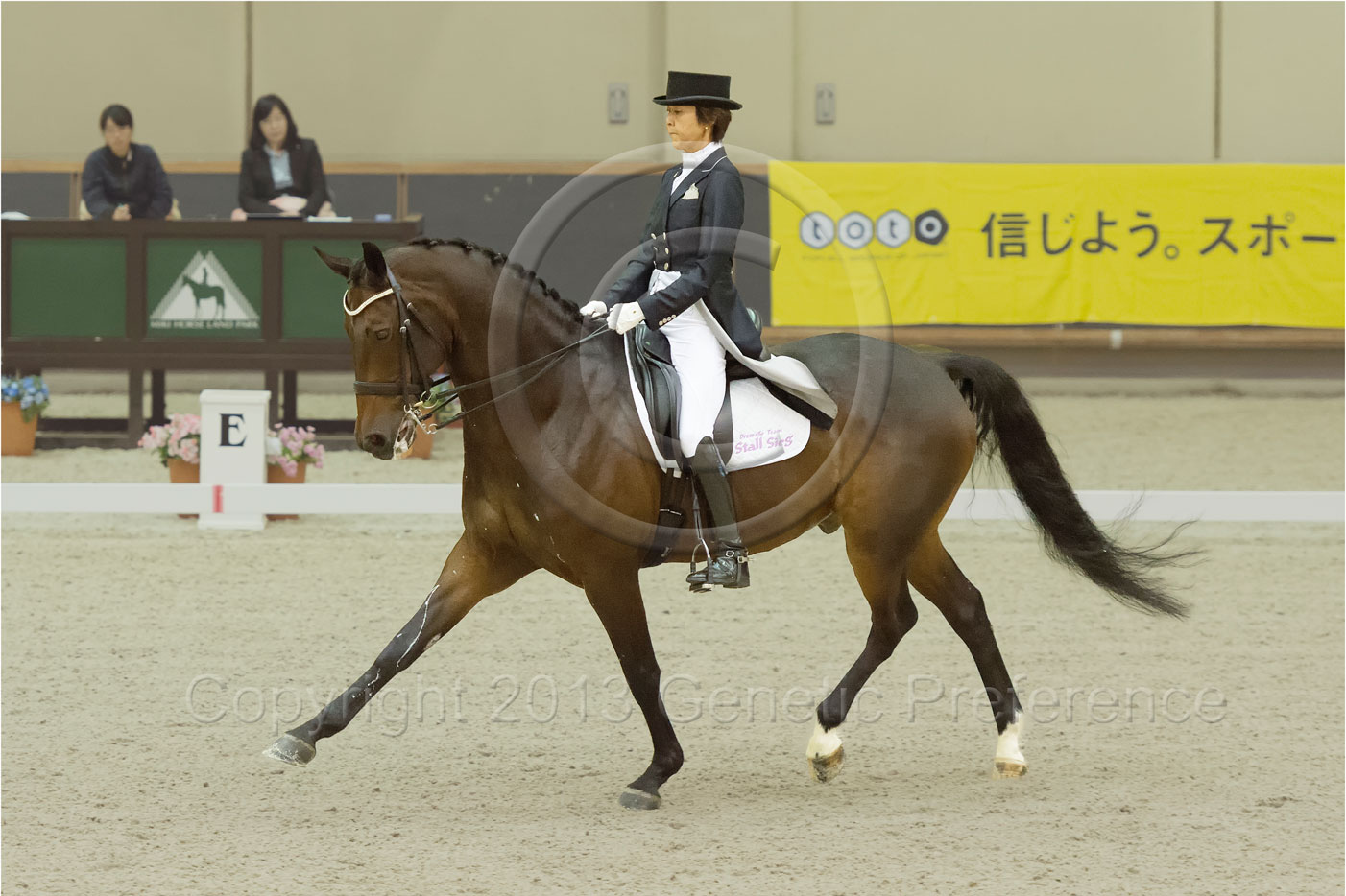 第38回兵庫県親善馬術大会Ⅰ：馬場馬術競技会 Vol.7_a0111162_23402946.jpg