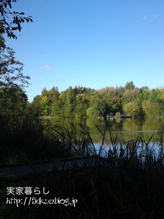 Hello from Peony家　Part5_b0299665_11029.jpg