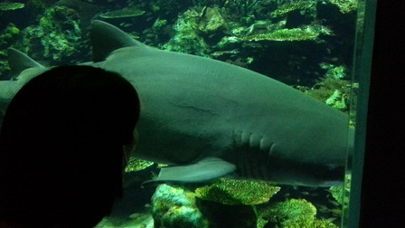 f0228680_914421.jpg