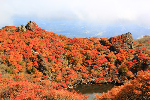 2013年　大船山紅葉　その2_b0286982_11175215.jpg