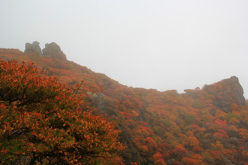 2013年　大船山紅葉　その2_b0286982_11234197.jpg