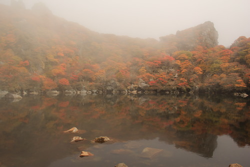 2013年　大船山紅葉　その2_b0286982_11241359.jpg