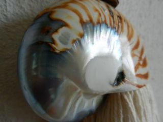 2013年10月25日 クビガバキバキ_b0098584_205675.jpg